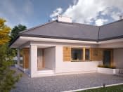 Ambrozja 9 (CE) - wizualizacja 4