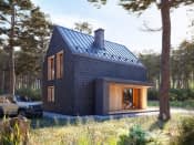 Pestka (CE) - wizualizacja 3