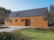 Paproć 3 (CE) - wizualizacja 10