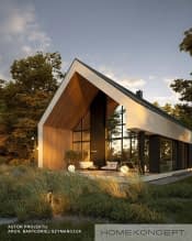 HOMEKONCEPT 117 - wizualizacja 4