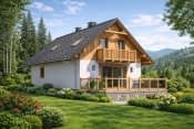 L-42 szkieletowy - wizualizacja 5